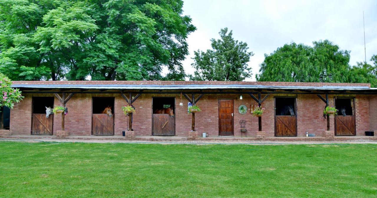 Owls Loft Guest House 米德兰 外观 照片