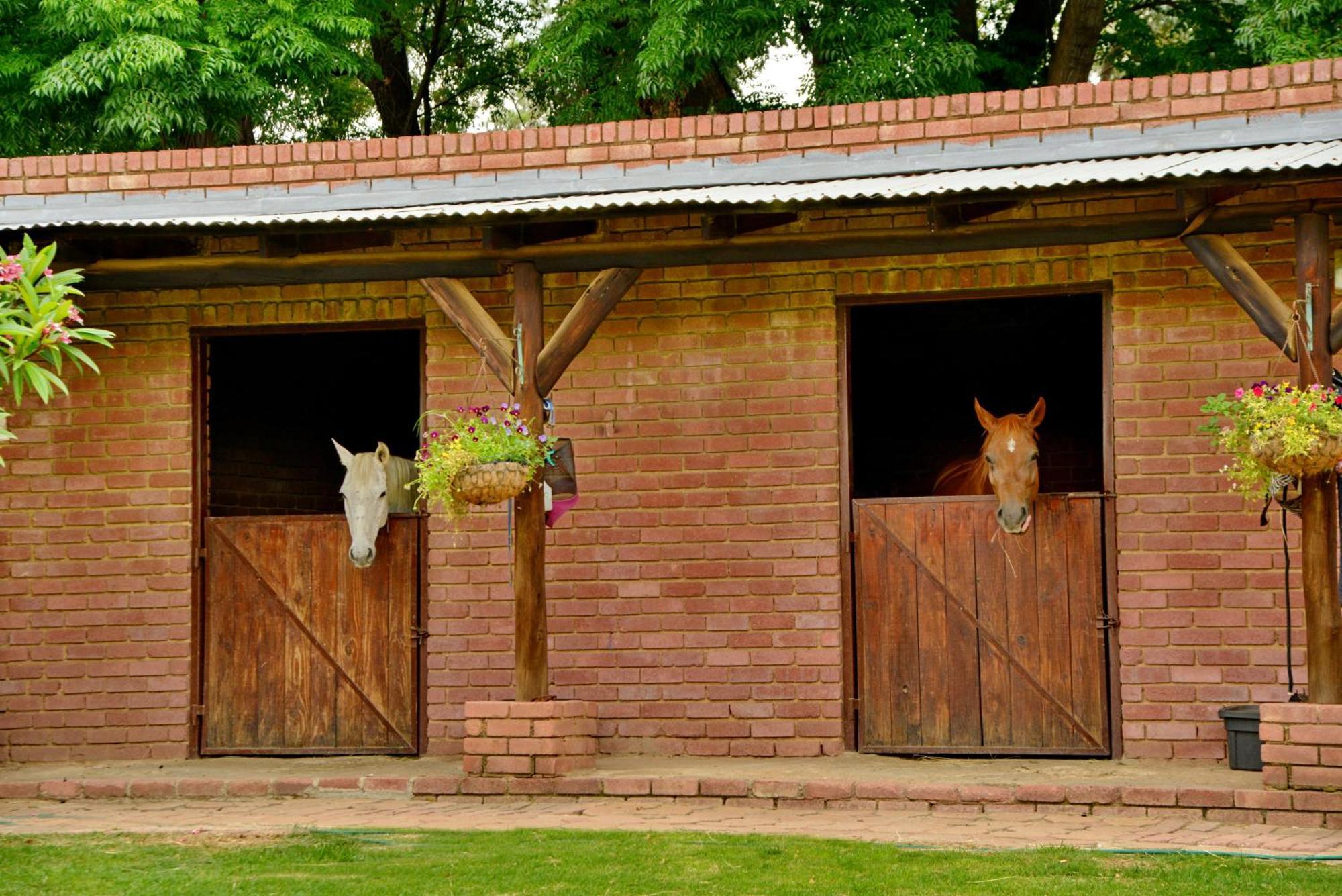 Owls Loft Guest House 米德兰 外观 照片