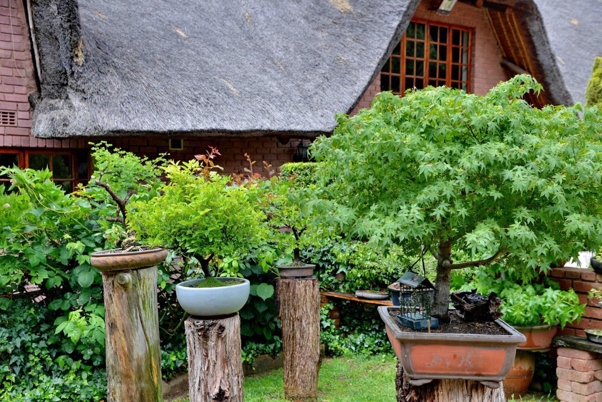 Owls Loft Guest House 米德兰 外观 照片